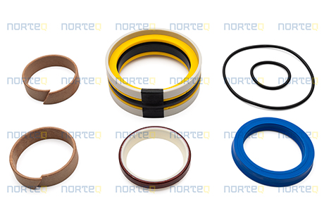 11990347-GR SEALING KIT WITH GUIDE RING