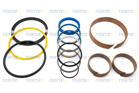 11707025-GR SEALING KIT WITH GUIDE RING