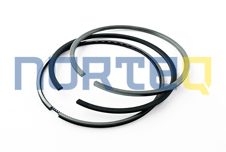 20799069 PISTON RING KIT