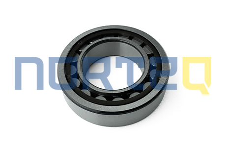 184721 ROLLER BEARING